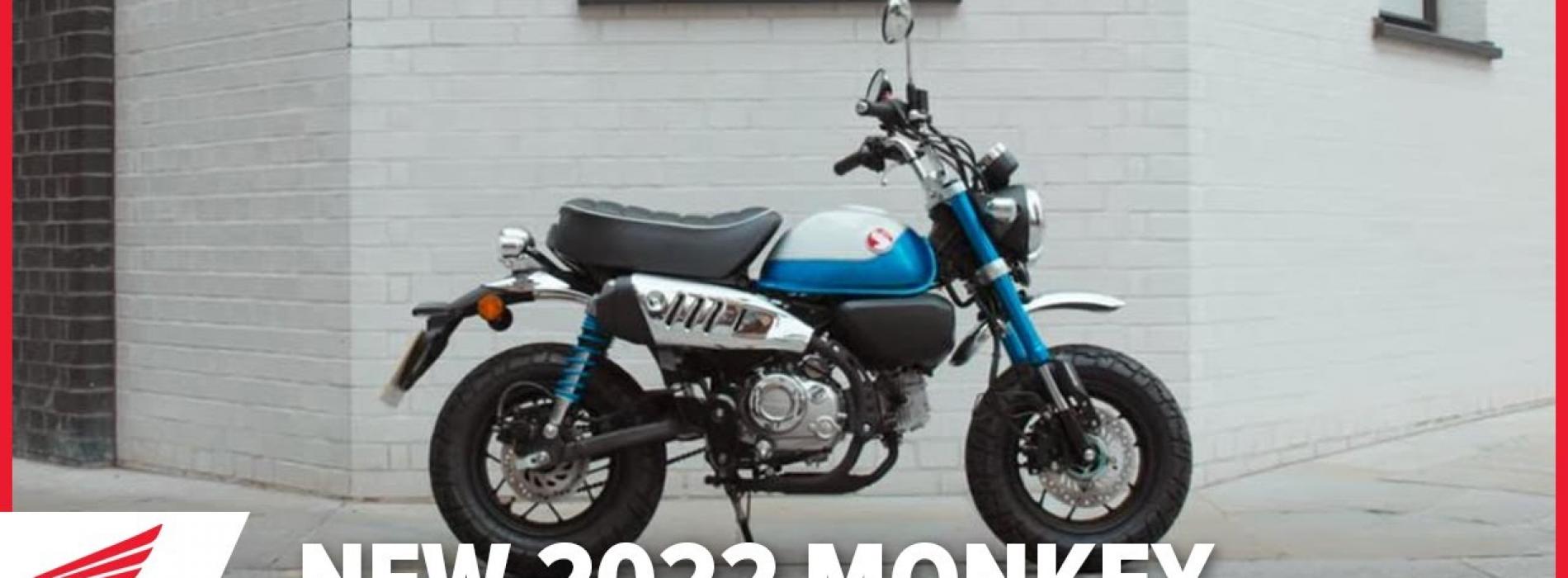 Nova Honda Monkey 2022 (Vídeo Oficial)